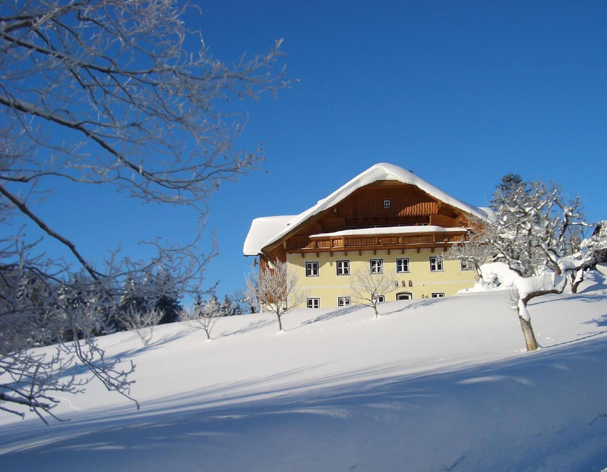 Eisenstattgut Faistenau Exterior photo
